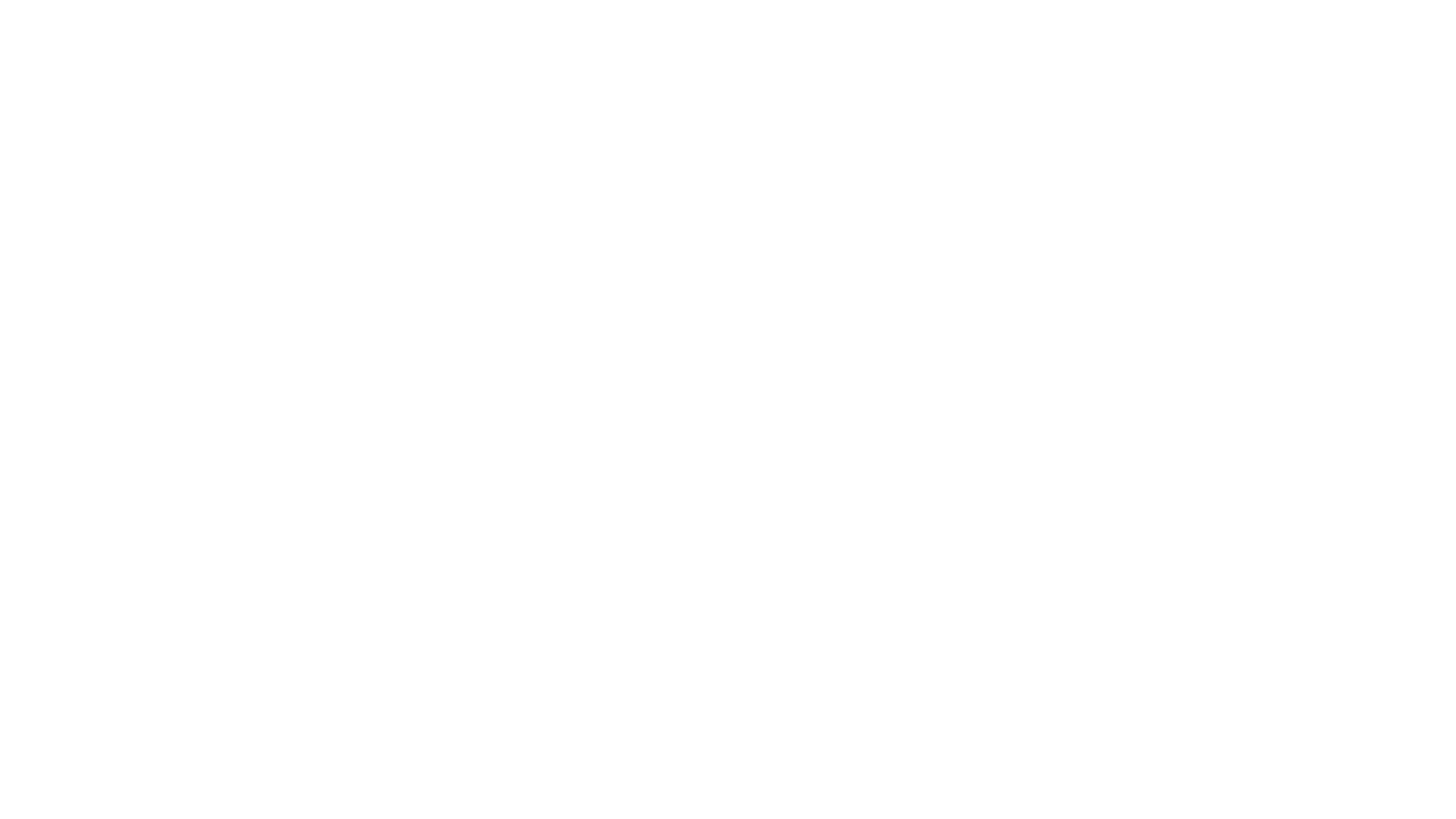 Salt2Snow Logos
