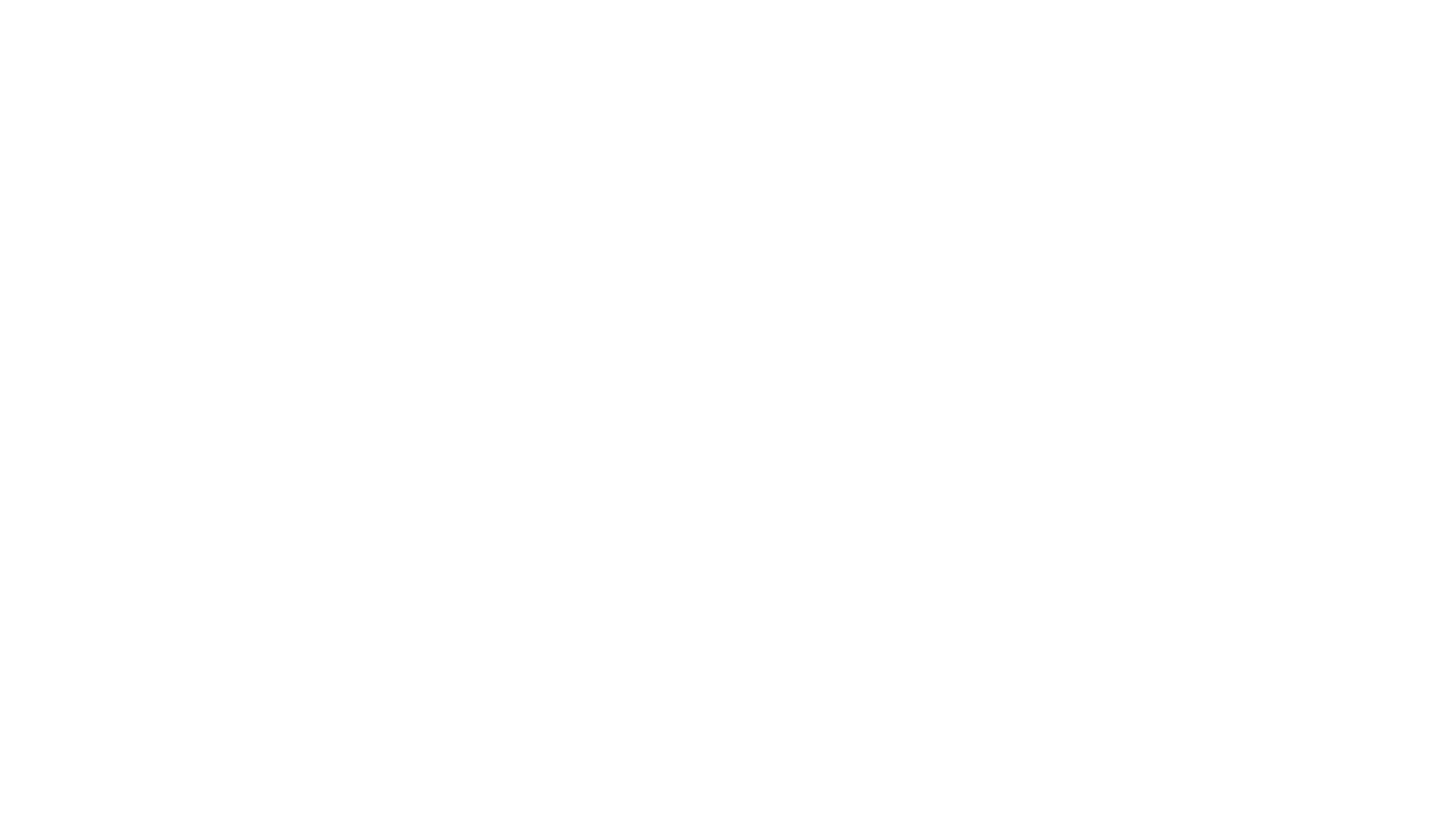 Salt2Snow Logos 10
