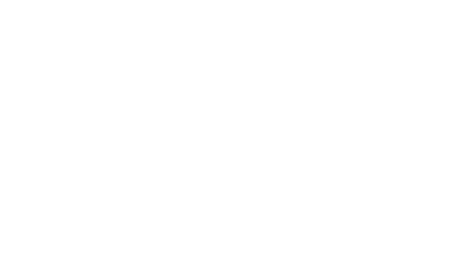 Salt2Snow Logos 12