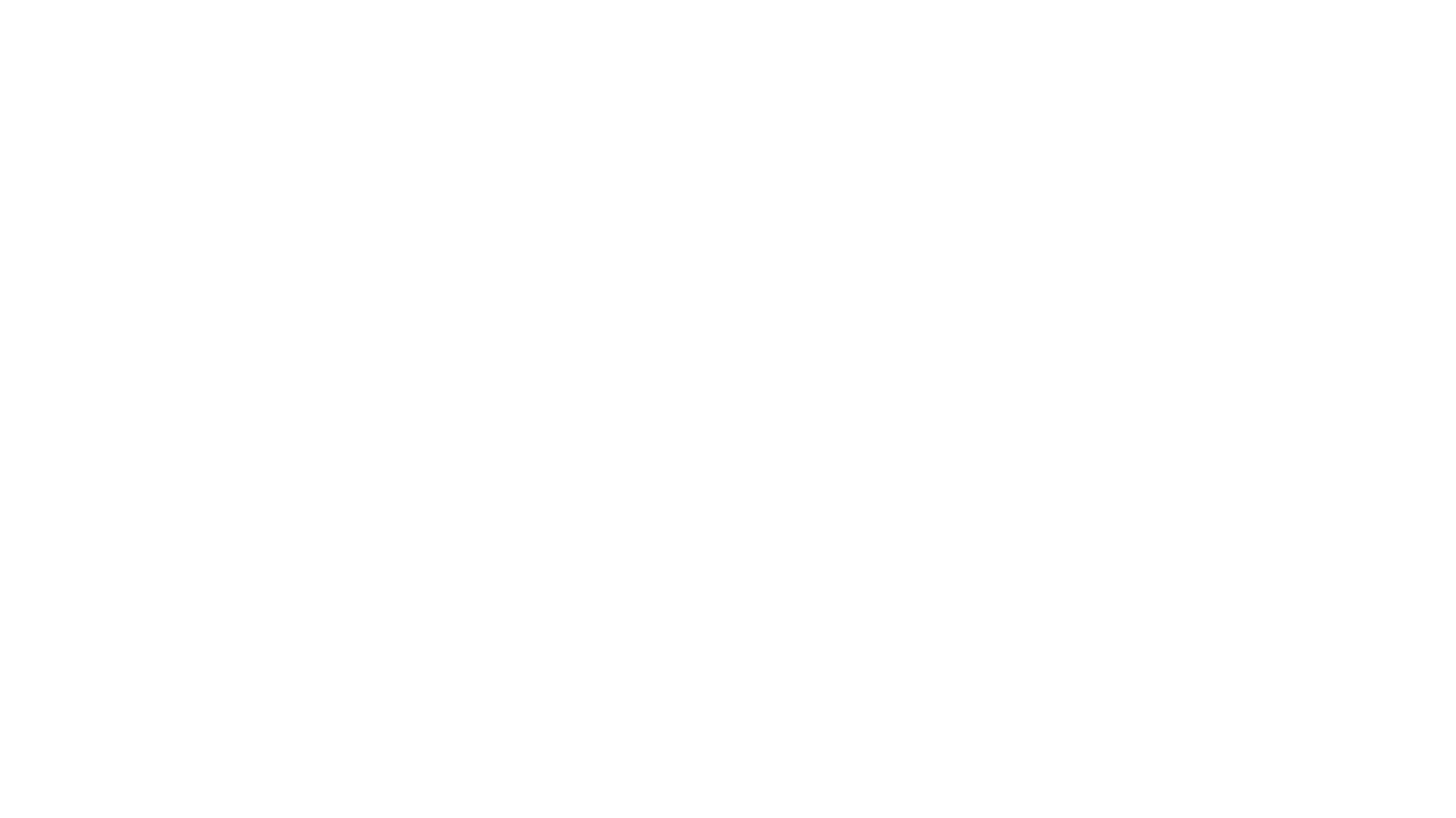 Salt2Snow Logos 2