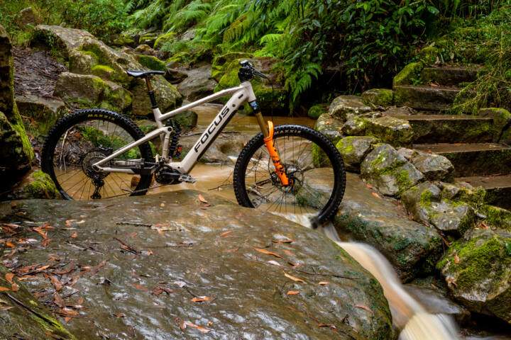 Focus R evolution MTB